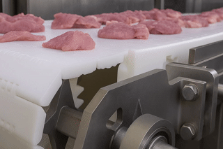 meat conveyor