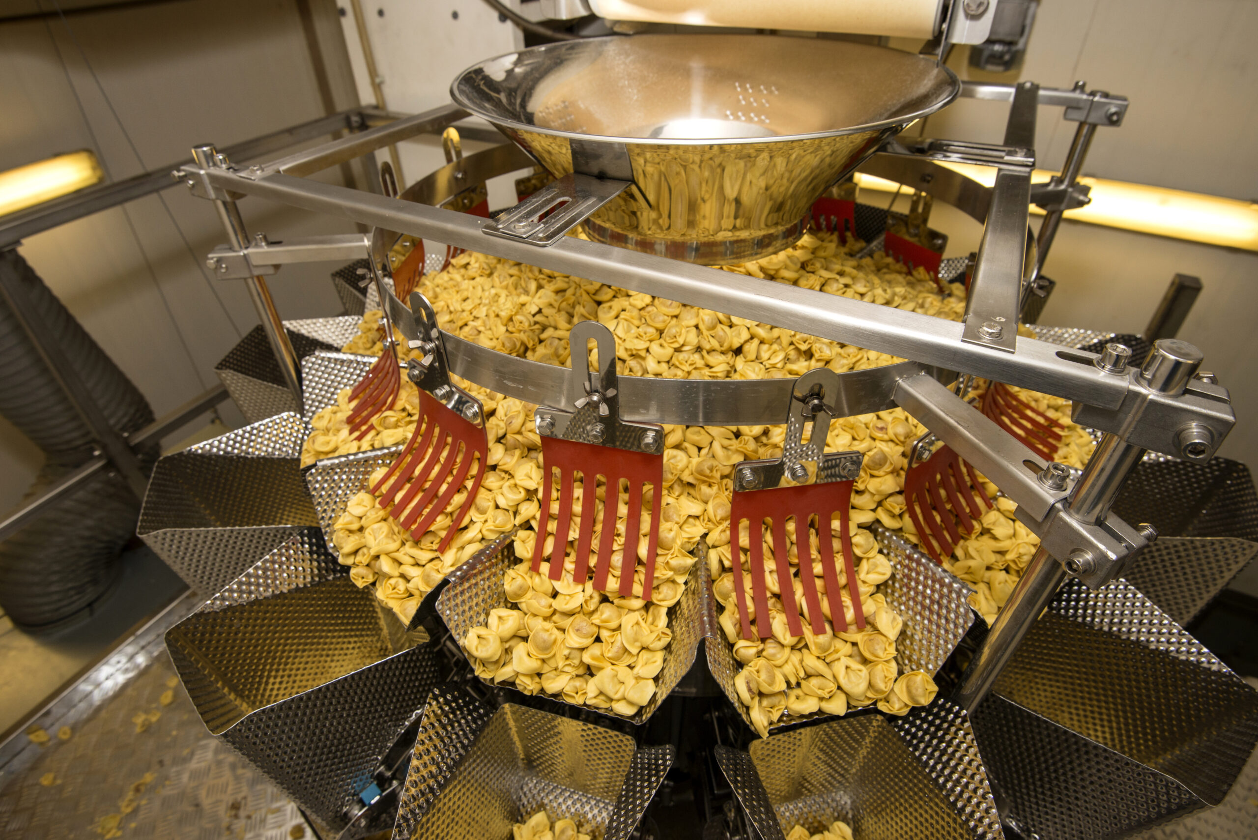 Tortellini,Pasta,Production,Line.,Packaging,Machinery