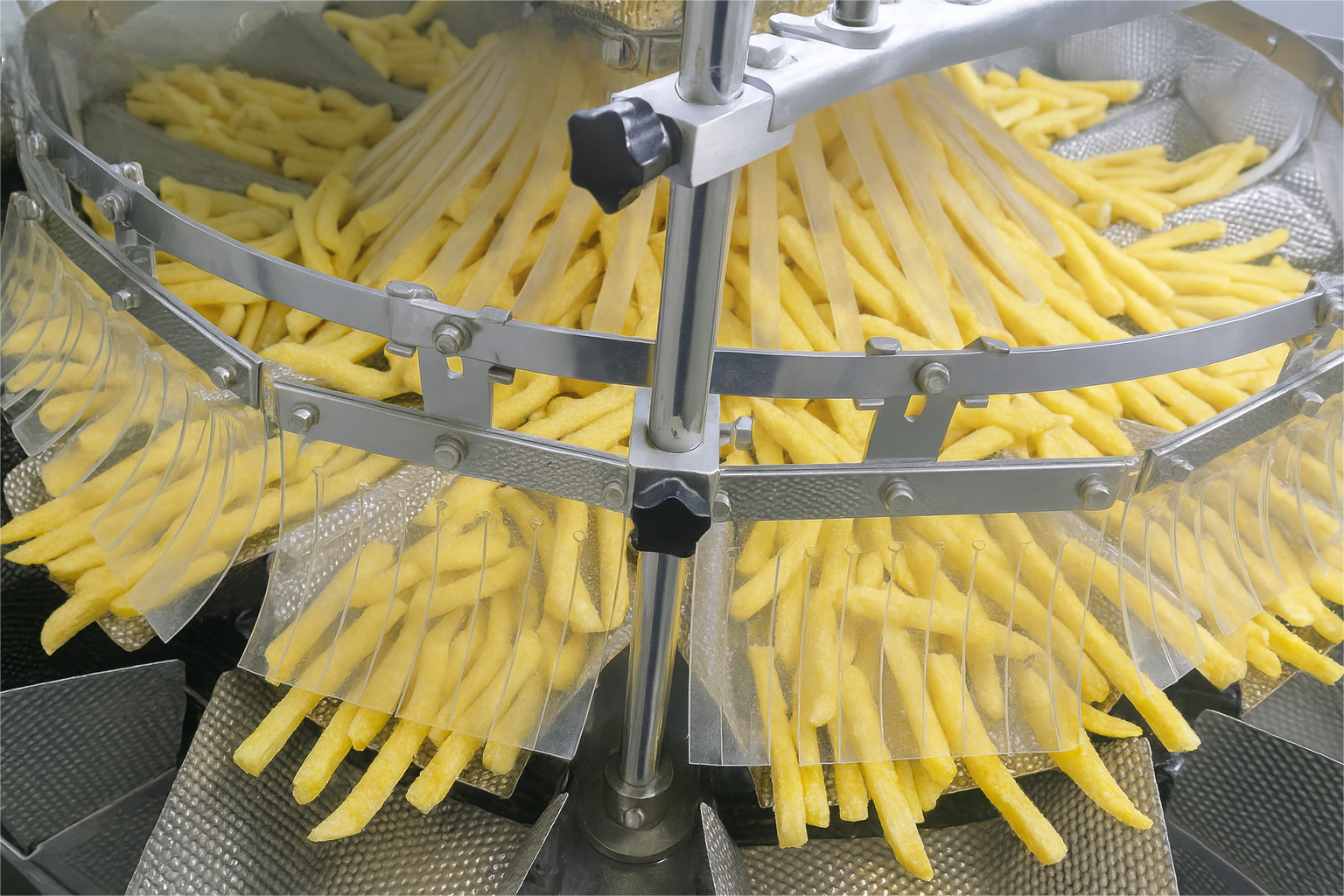 FROZEN FOOD MULTIHEAD WEIGHER (2)
