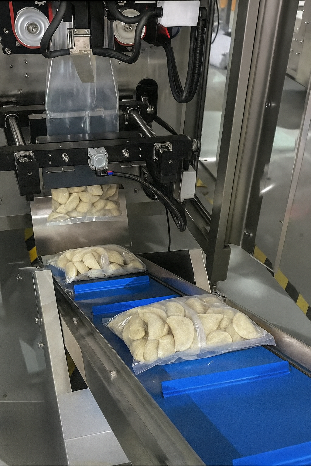 FROZEN FOOD PACKAGING MACHINES