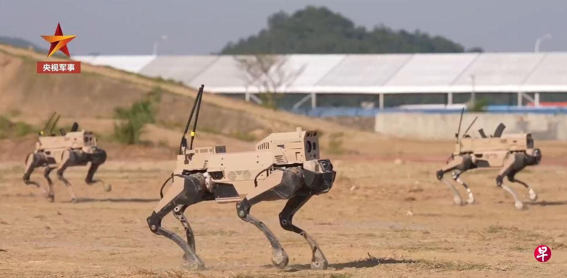 ROBOT WAOLVES