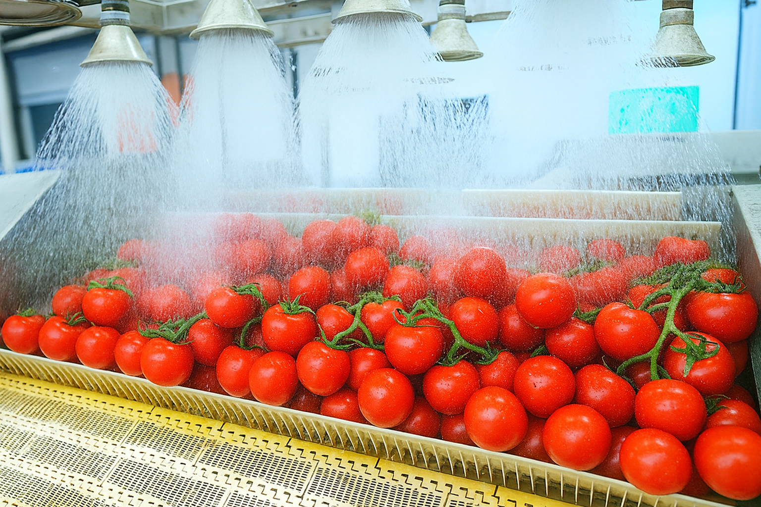 मॉड्यूलर बेल्ट कन्वेयर