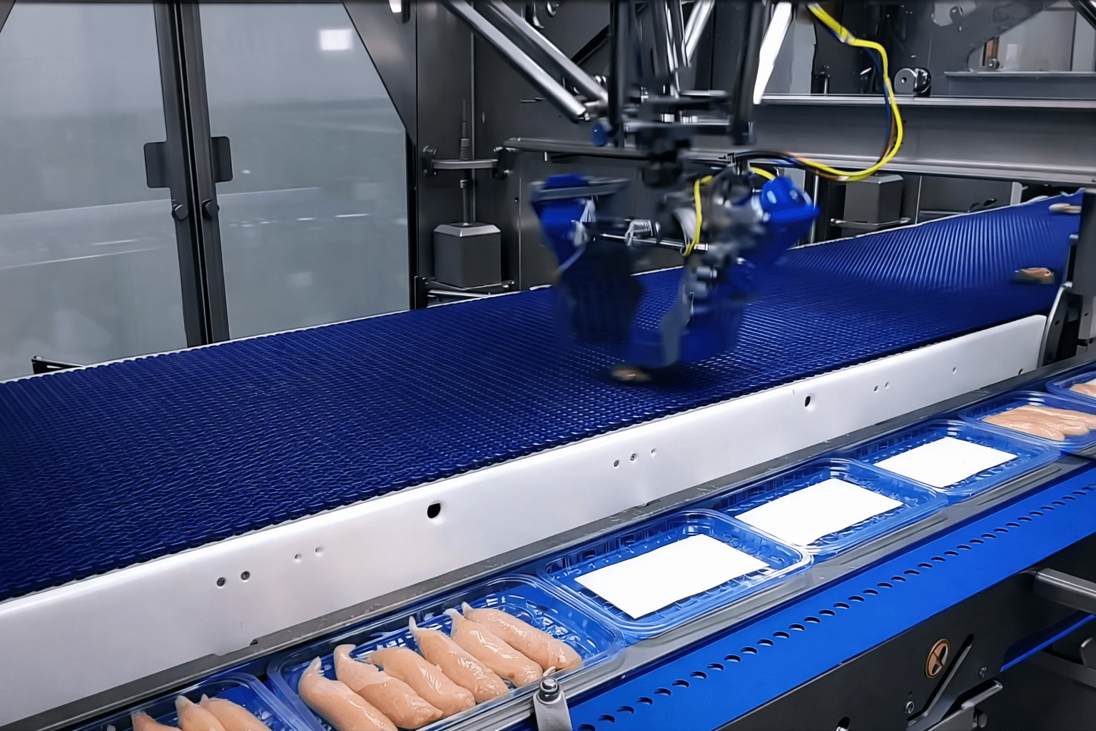 Belt Conveyor Applications