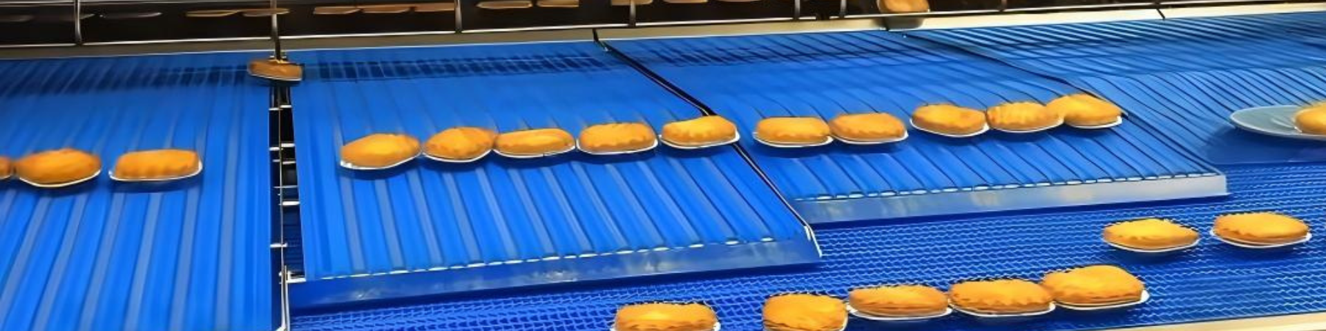 Food Conveyor