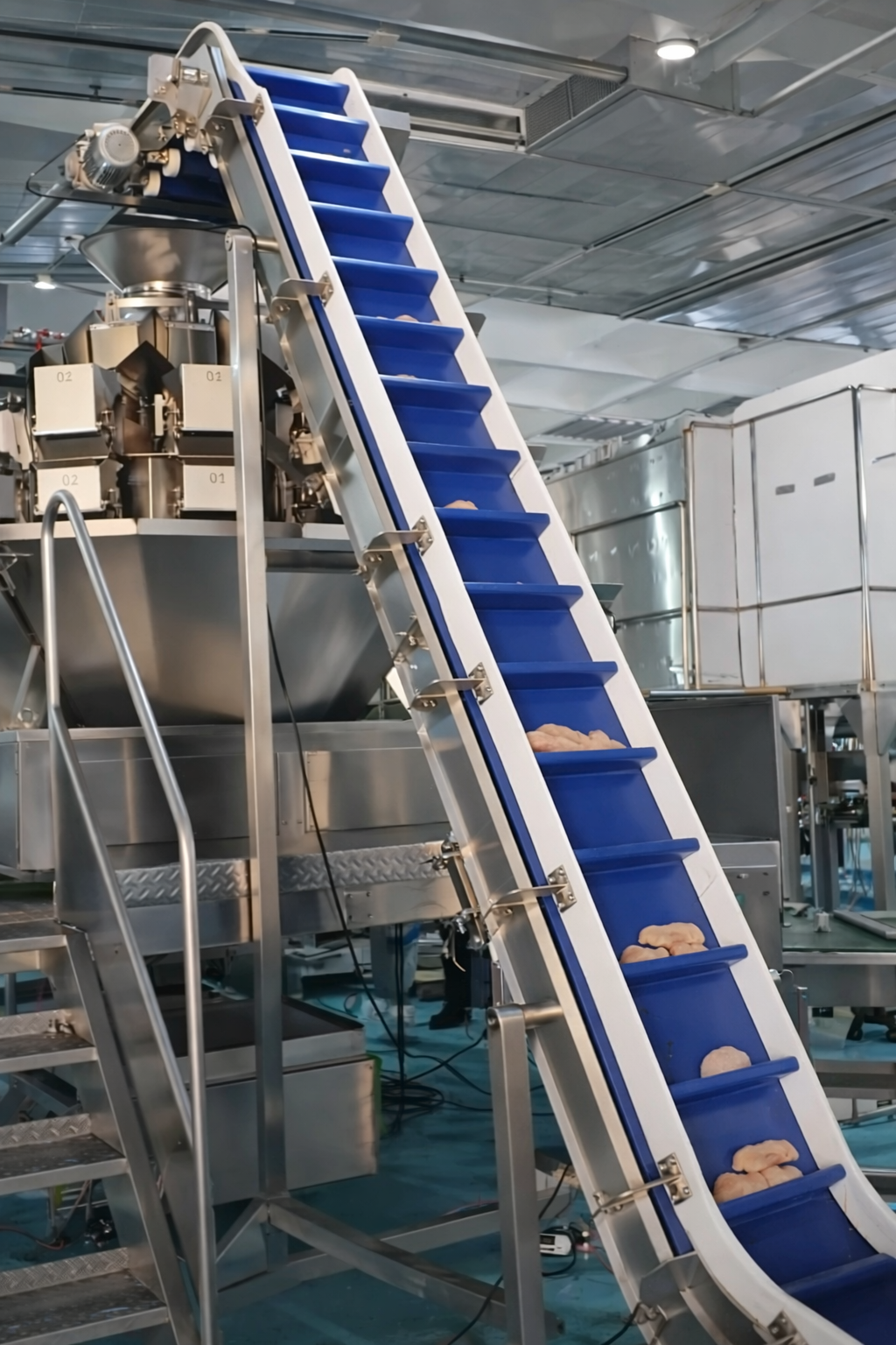 Easy-Clean Inclined Belt Conveyors