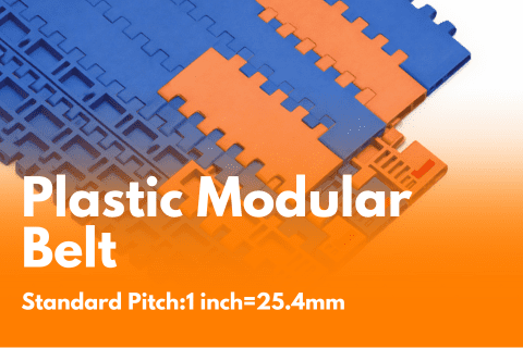 Plastic Modular Belt