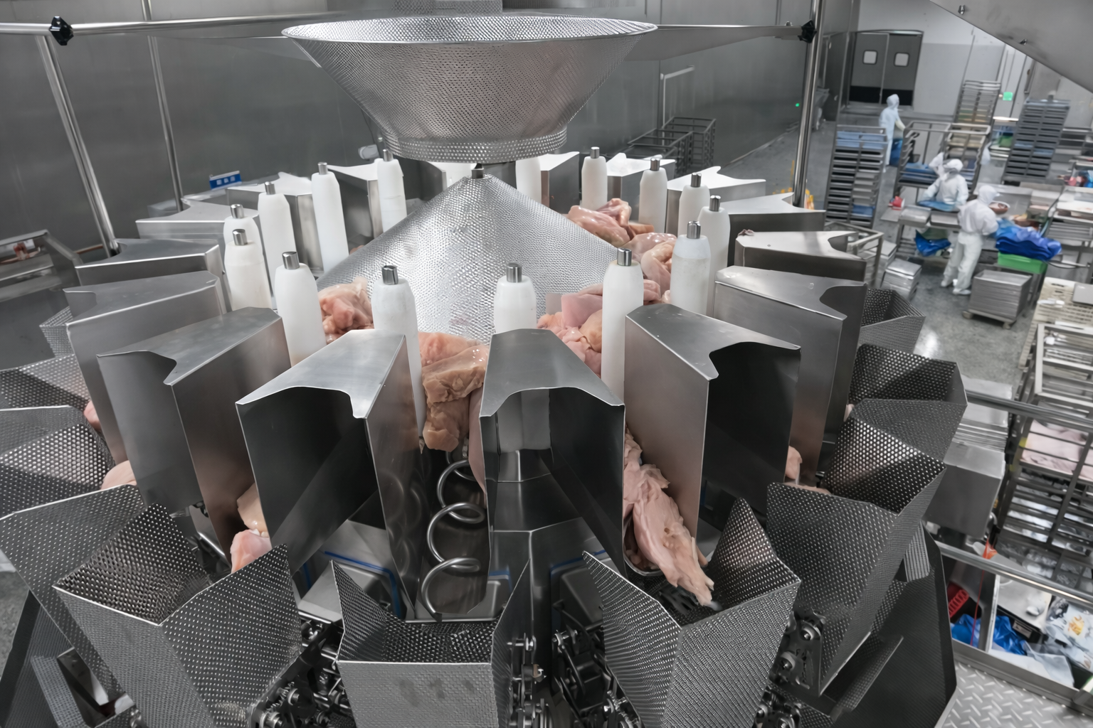 Screw feeder weigher for fresh chicken breast case study.