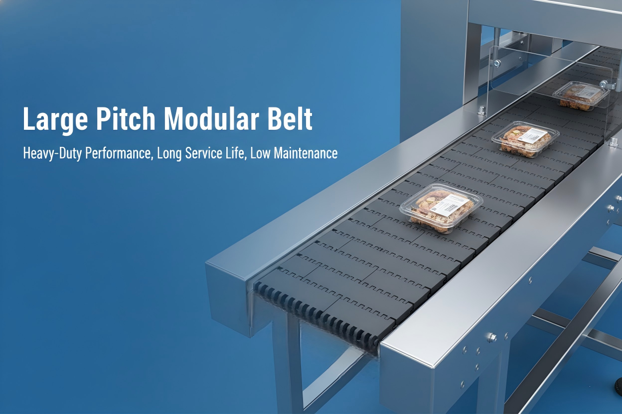 Why Choose a Large Pitch Modular Belt(1)
