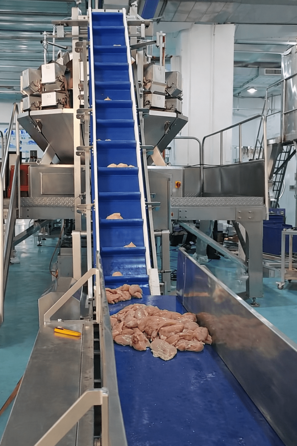 máy đóng gói thịt